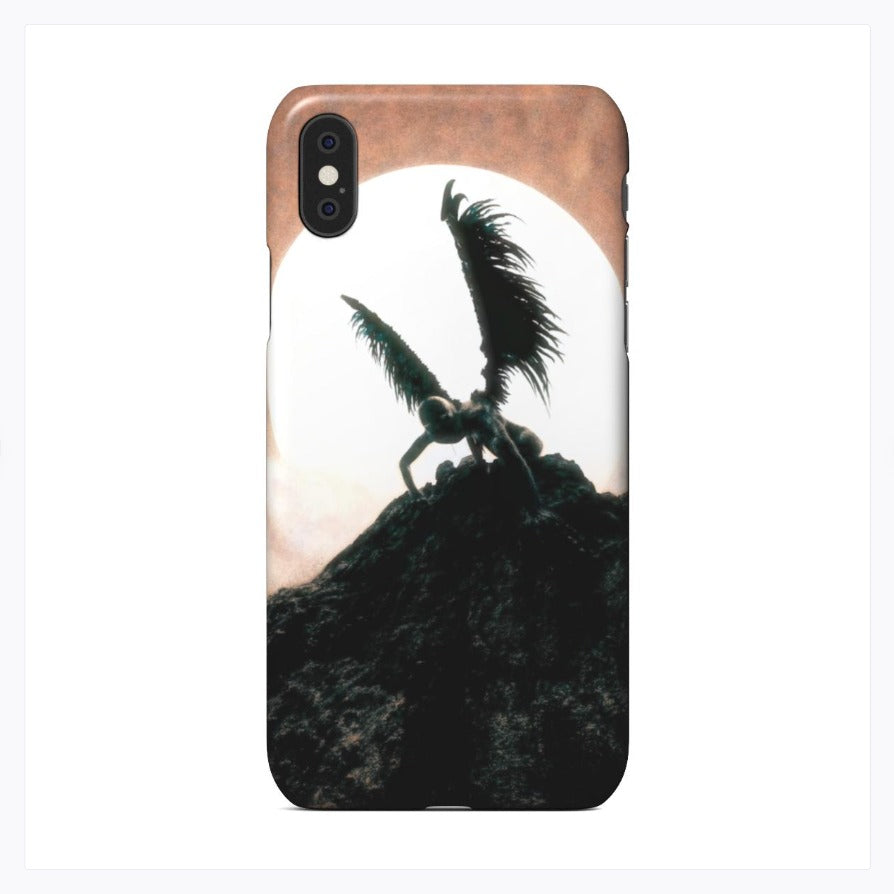 iPhone X / XS