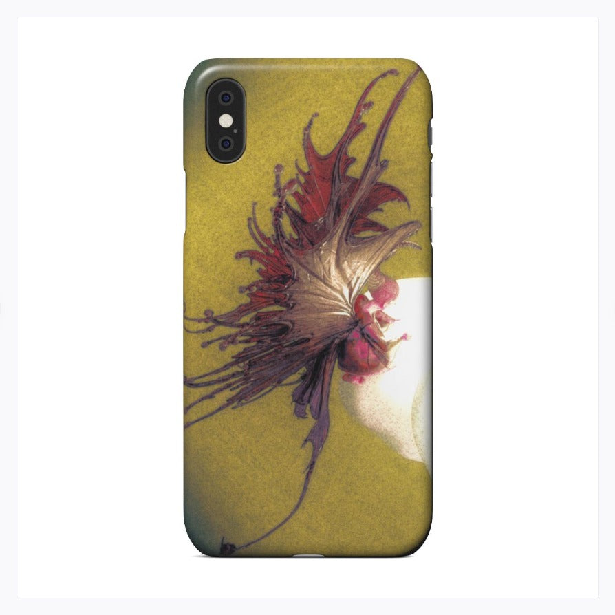 iPhone X / XS