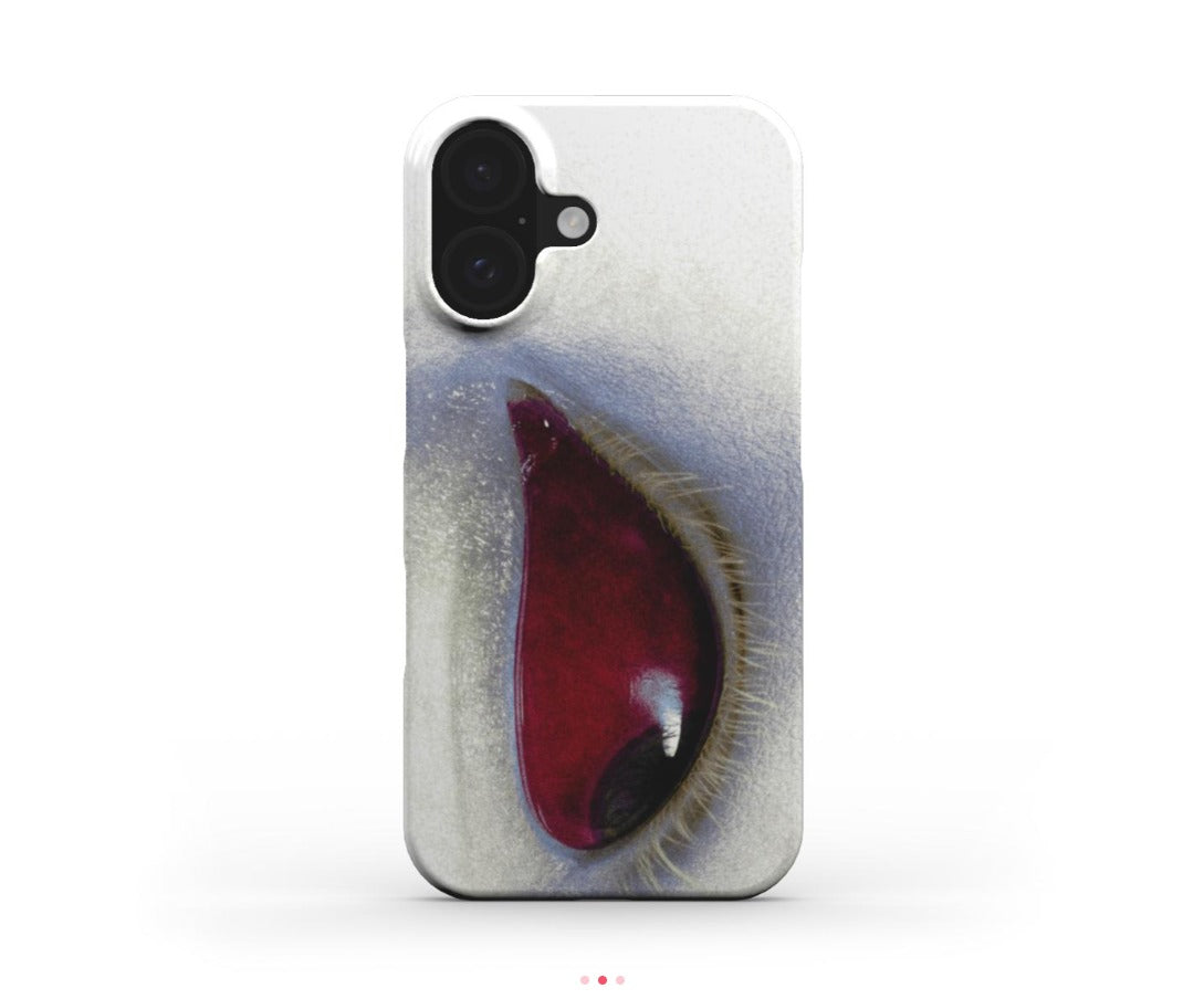 iPhone 16 Plus