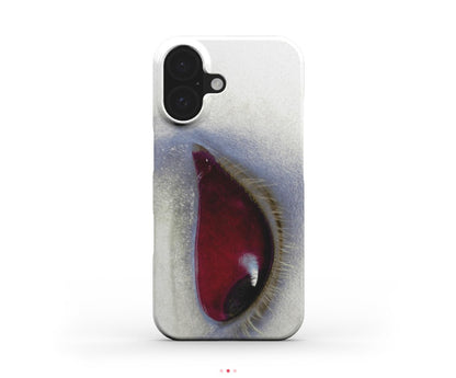 iPhone 16 Plus