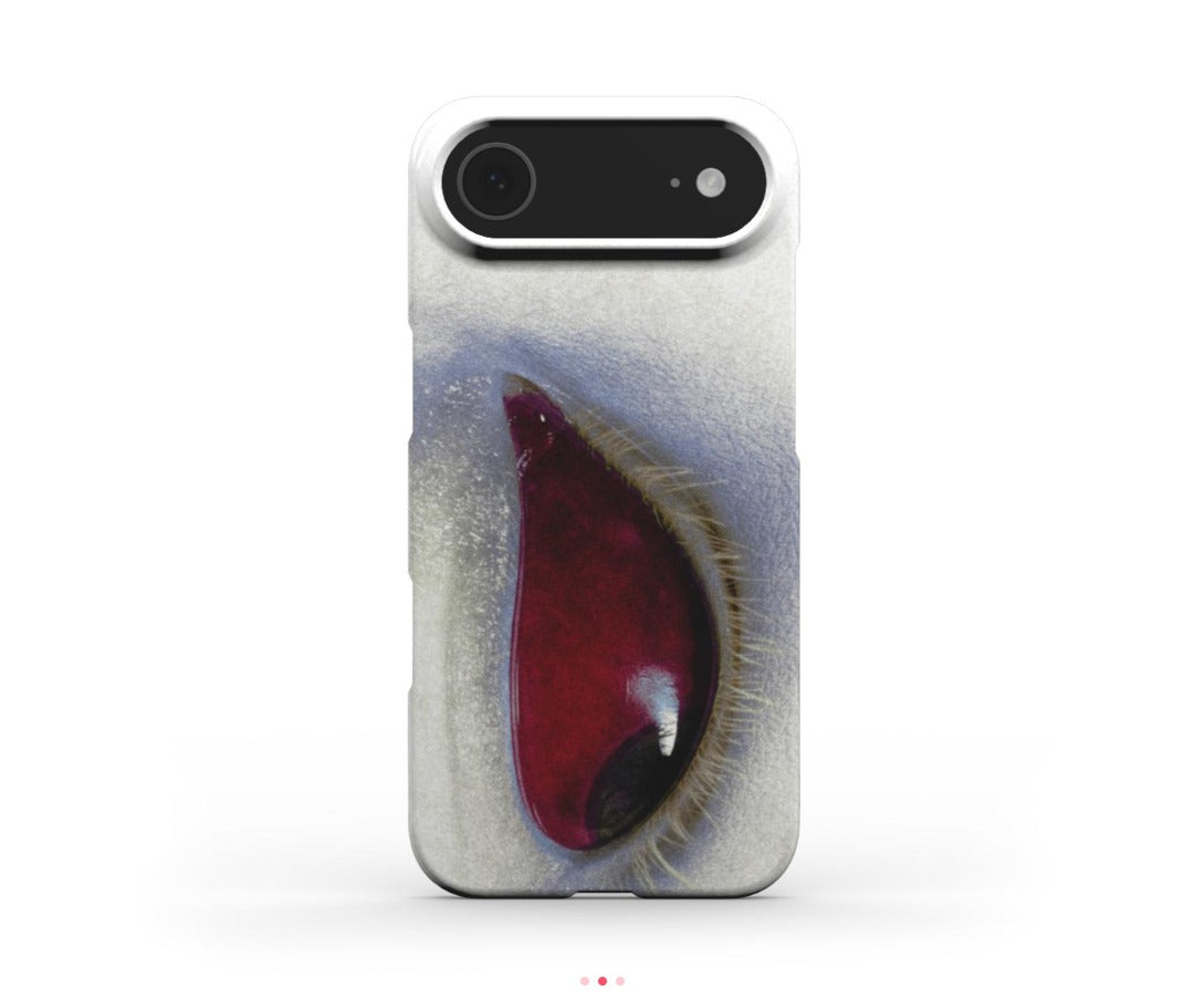 iPhone 17 Air