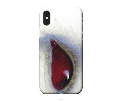 iPhone X / XS